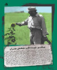 سالروز شهادت دکتر چمران