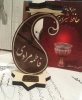 برگزیده شدن دانشجوی‌ دانشگاه جهرم در جشنواره غزلخوانی حافظ