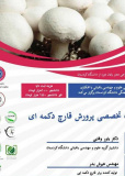 آموزش تخصصی پرورش قارچ دکمهای با بخش عملی و تئوری