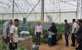 بازدید علمی دانشجویان گروه باغبانی و ژنتیک گیاهی از باغ گیاه شناسی ارم شیراز و مزارع شهرستان داراب