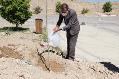 با کاشت ۱۰۰ اصله نهال، مراسم روز درختکاری در دانشگاه جهرم برگزار گردید.